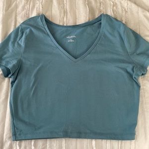 Blue Wild Fable Top